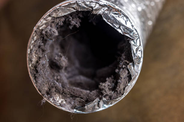 Best Ventilation Cleaning Services  in Blue Point, NY